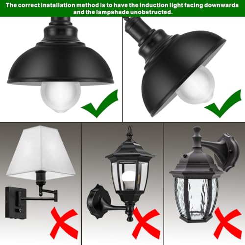 Motion Sensor Light Bulbs (3 Count)