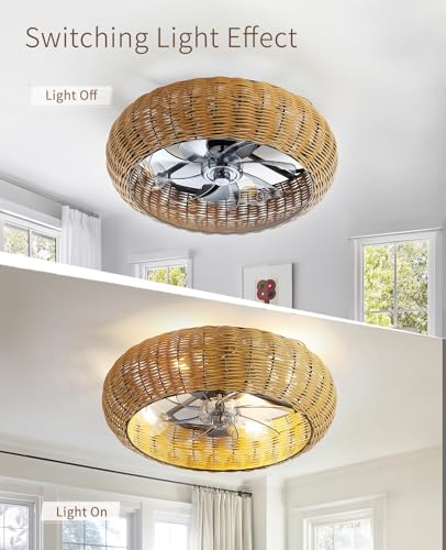 20" Boho PC Woven Low Profile Caged Ceiling Fan with Light and Remote (Brown / Medium)