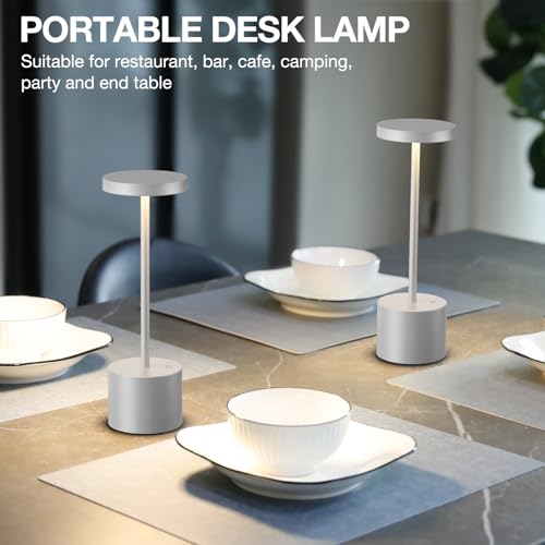 Silver Gray Cordless Lamp Set (2 Count)