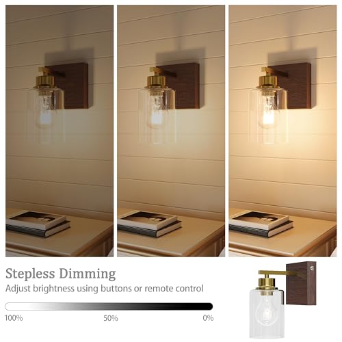 Wireless Battery Operated Wall Sconce Set of 2 with Remote Control (2 Count)