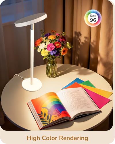 LED Desk Lamp