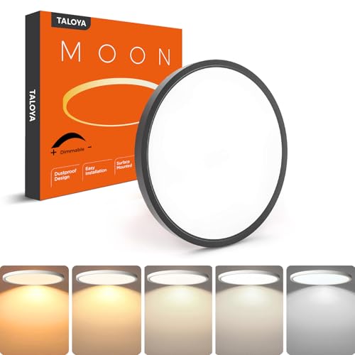 Dimmable Flush Mount Ceiling Light