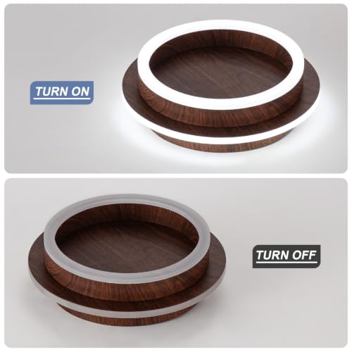 Round Modern Led Ceiling Light Fixture