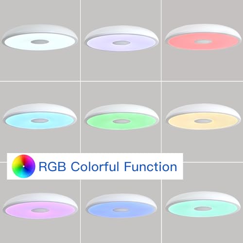Smart Waterproof LED Flush Mount Ceiling Light Fixture