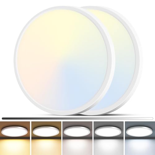 2Pack LED Flush Mount Ceiling Light (2 Count)