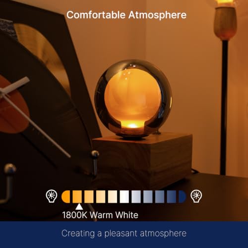 G125 Decorative Large Globe LED Bulb (2 Count)