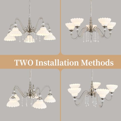 5 Light Chandelier in Brushed Nickel Finish with Flower (5-Light / Nickel and White)