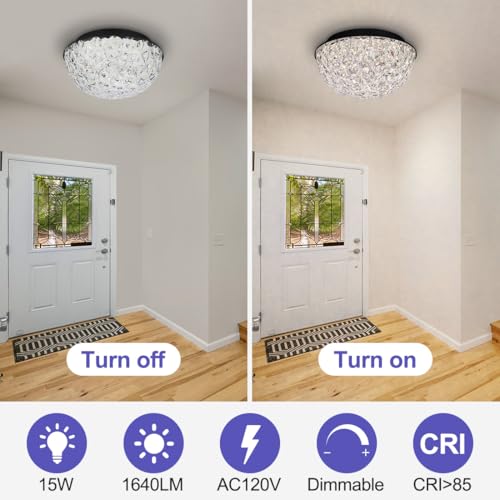 12'' Modern LED Ceiling Light