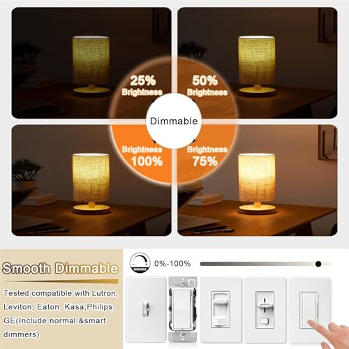 5 Inch Edison Bulb (4 Count)
