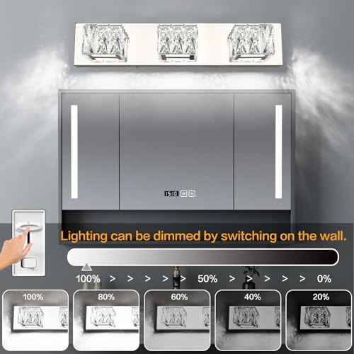 LED Bathroom Light Fixture