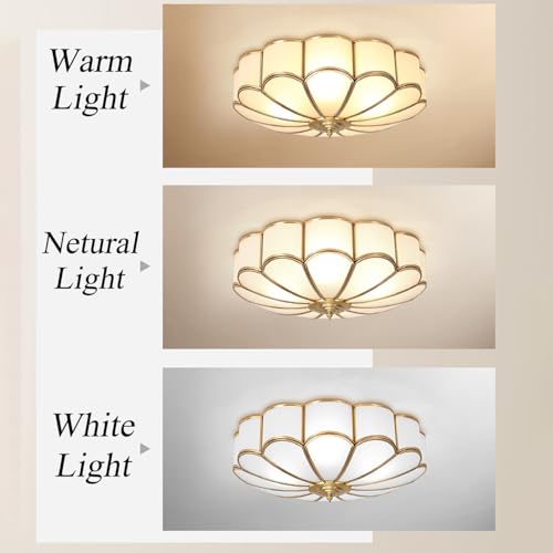 Mid Century Modern Brass Ceiling Light Fixture