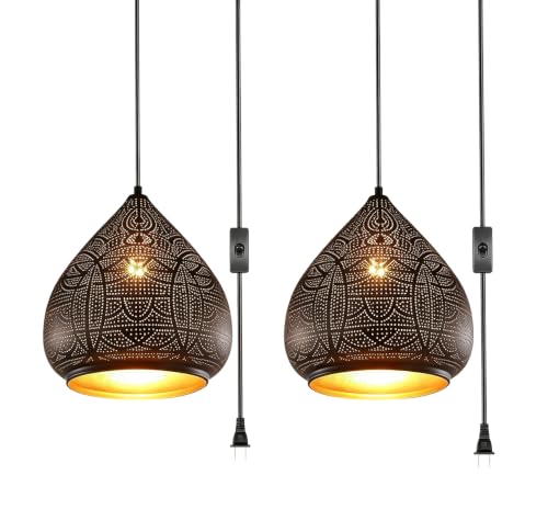 Black Hanging Lamp 2