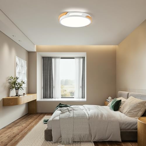 Modern LED Ceiling Light