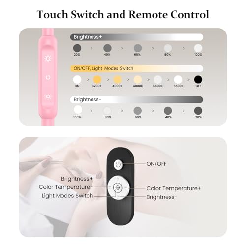 Lash Light with Tool Tray