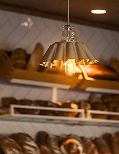 Edison Bulbs Light Bulbs (4 Count)