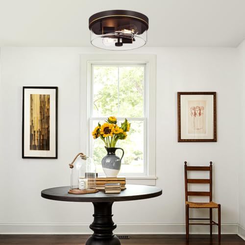 Flush Mount Ceiling Light Fixtures