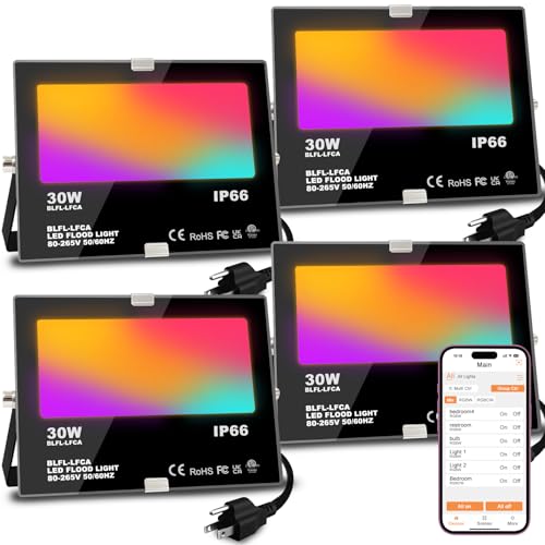 LED Flood Light Outdoor 30W (4 Count)