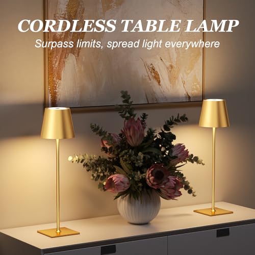 Gold Cordless Rechargeable Table Lamp 5000mAh Battery Operated Lamps (2 Count)