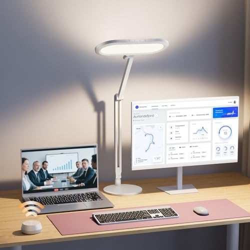 Premium LED Desk Lamp