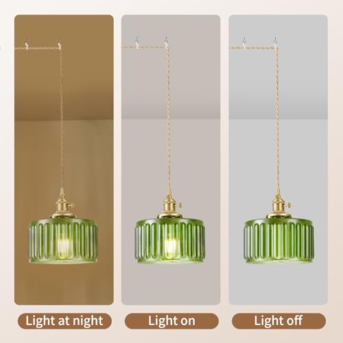 Plug in Pendant Light