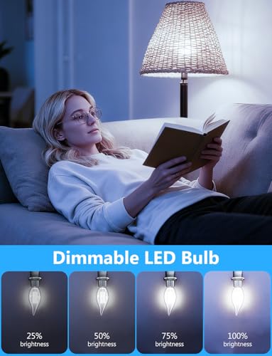 Chandelier Light Bulbs (12 Count)
