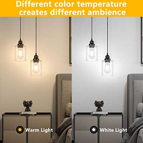 2 Pack Modern Black Pendant Lighting (2 Count)