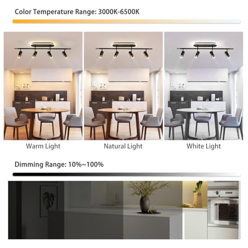 4 Light LED Track Lighting Fixture with Remote Control