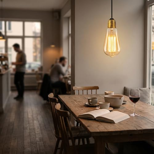 ST64 Incandescent Edison Bulb 60W E26 2200K Dimmable Amber Glass 6 (6 Count)