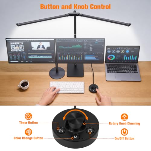 Desk Lamp for Home Office (Black)