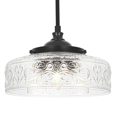 Black 3 Light Pendant Light with 12in Glass Shade