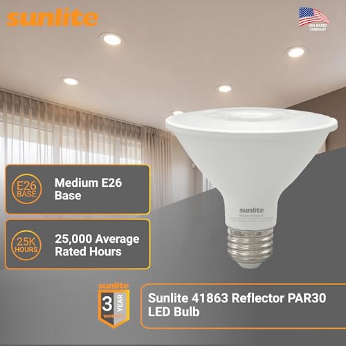 Reflector PAR30 LED Bulb (24 Count)