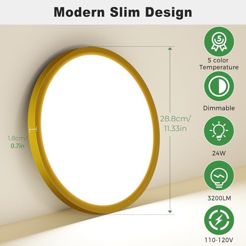 1Pack LED Flush Mount Ceiling Light