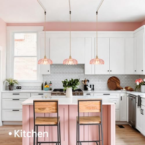 Plug in Pendant Light Hanging Light Fixtures with Plugin Cord On