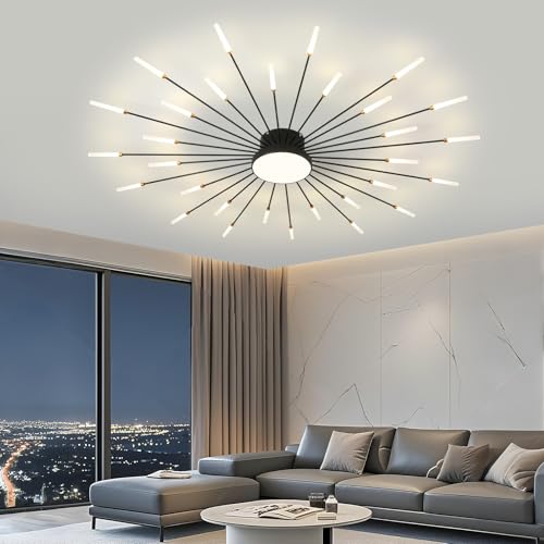 Modern Ceiling Light