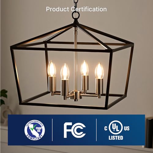 48 Pack LED Candelabra Bulbs 60W Equivalent (48 Count)