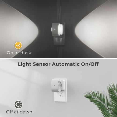 Night Light Projector (2 Count)