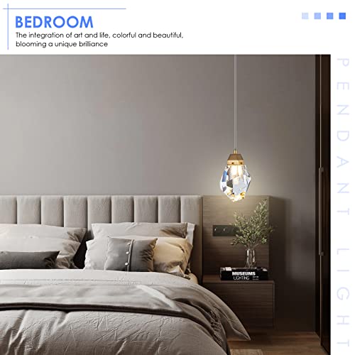 2 Pack Crystal Pendant Lights (2 Count)