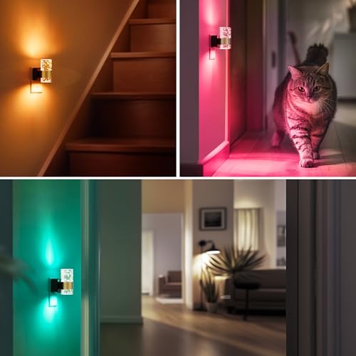 Night Light [2 (2 Count)