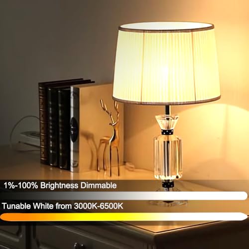 E26 12W Smart LED Bulb with a 2.4GHz Remote Control