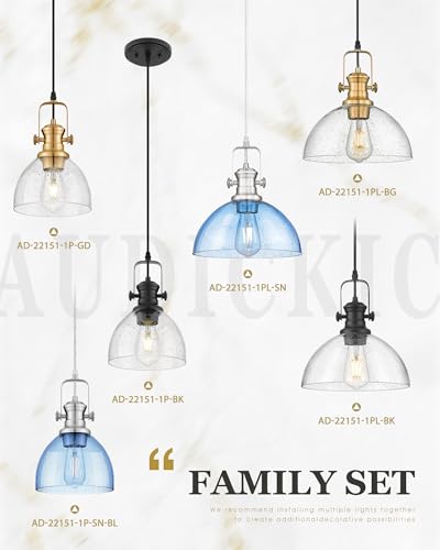 2 Pack Black Pendant Lights Kitchen Island (2 Count)
