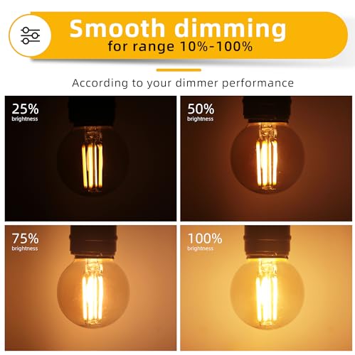 Dimmable G16.5 Amber Edison light Bulb 40 Watt (6 Count)