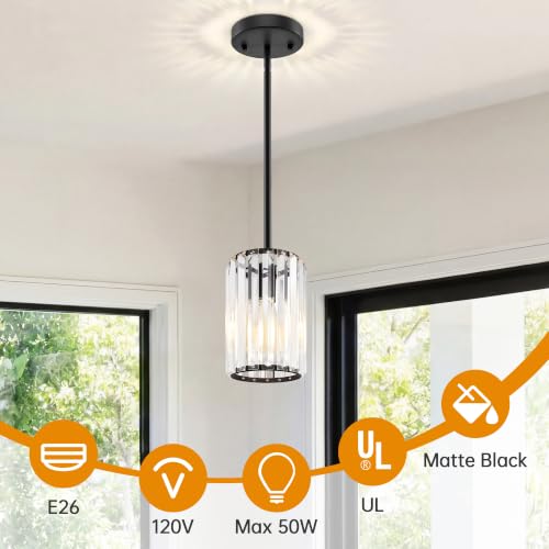 Black Pendant Light (2 Count)