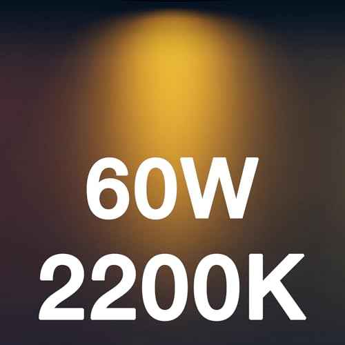 Dusk to Dawn Outdoor Sensor ST19 LED Light Bulbs