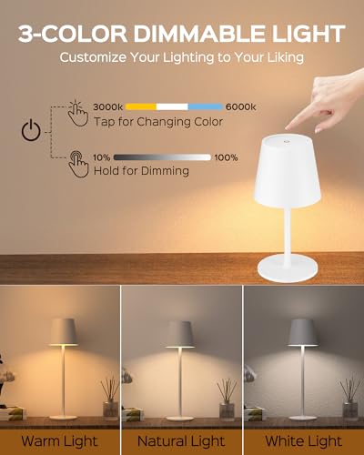 Cordless Table Lamps Rechargeable (2 Count)
