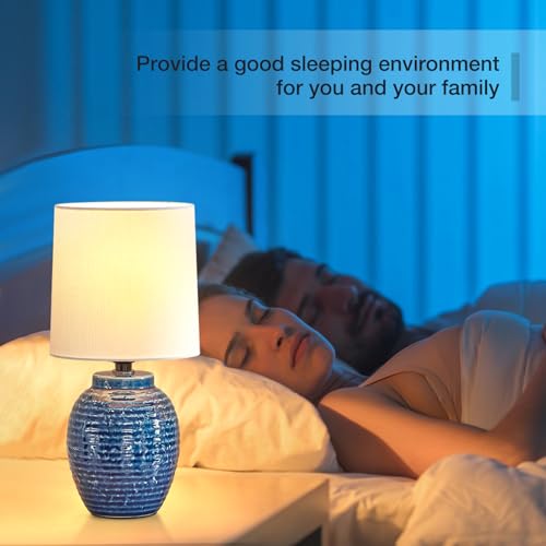 Table Lamps Set of 2 (2 Count)