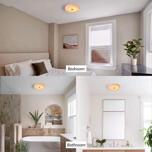 Alabaster Ceiling Light