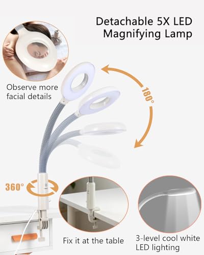 Professional Facial Steamer with 5X LED Magnifying Lamp 2 in 1