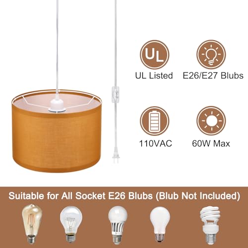 Plug in Pendant Light