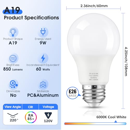 A19 LED Light Bulbs (24 Count)