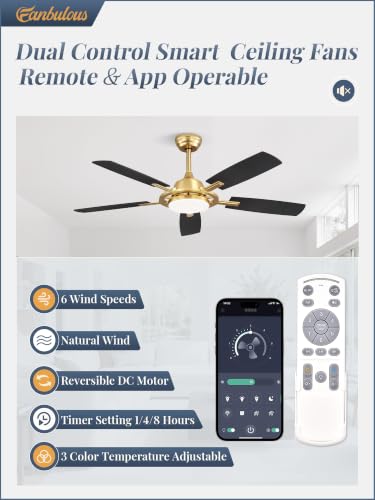 52 Inch Black Ceiling Fans with 3CCT Lights and Remote (Gold / 52")